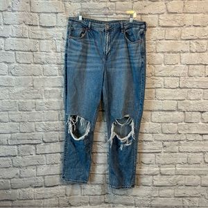 American Eagle (AE) High-Rise Jeans Womens Size 16 Blue Denim Strigid Mom Jeans